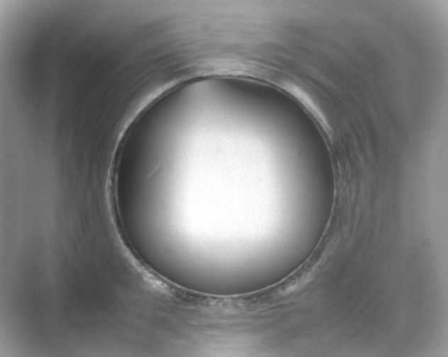 X0000075330901200609292005