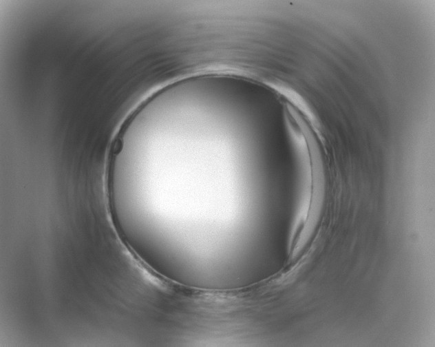 X0000075330910200609292005