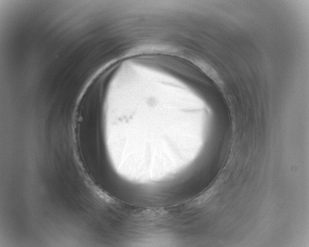 X0000075330912200609292005