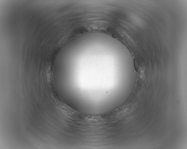 X0000075330915200609292004