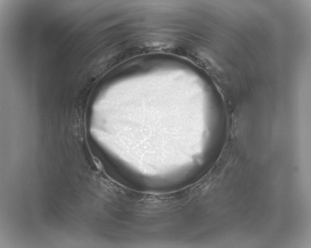 X0000075330917200609292004