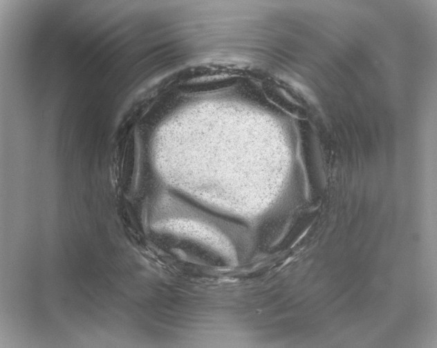 X0000075330920200609292004