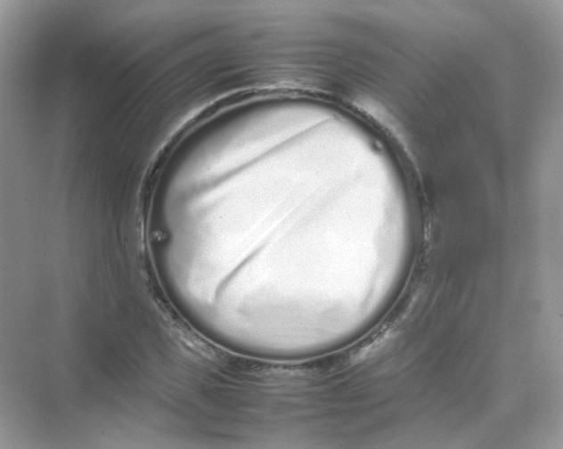 X0000075330925200609292004