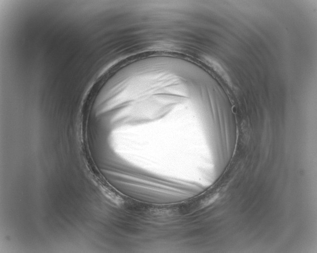 X0000075330931200609292004