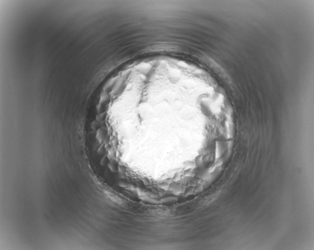 X0000075330937200609292005