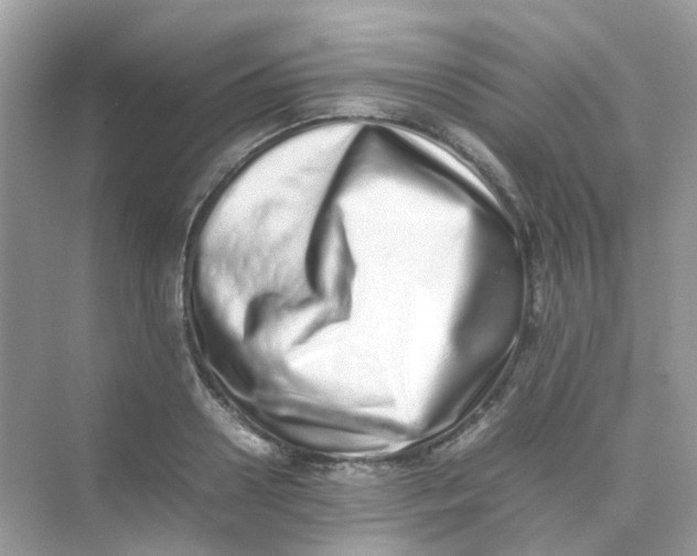 X0000075330938200609292005