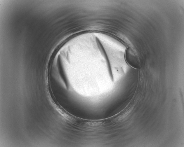 X0000075330939200609292005