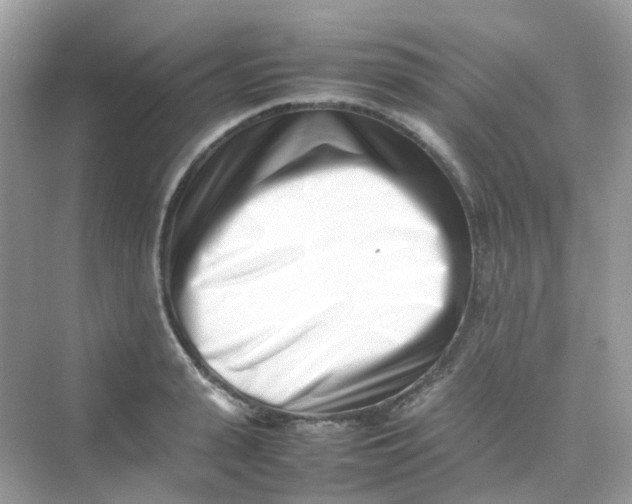 X0000075330943200609292005