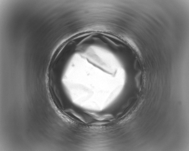X0000075330944200609292005