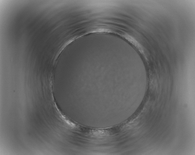 X0000075330945200609292005