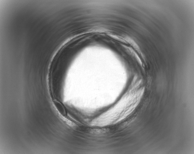 X0000075330947200609292005