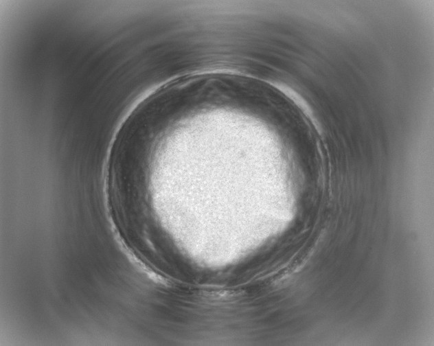 X0000075330949200609292005