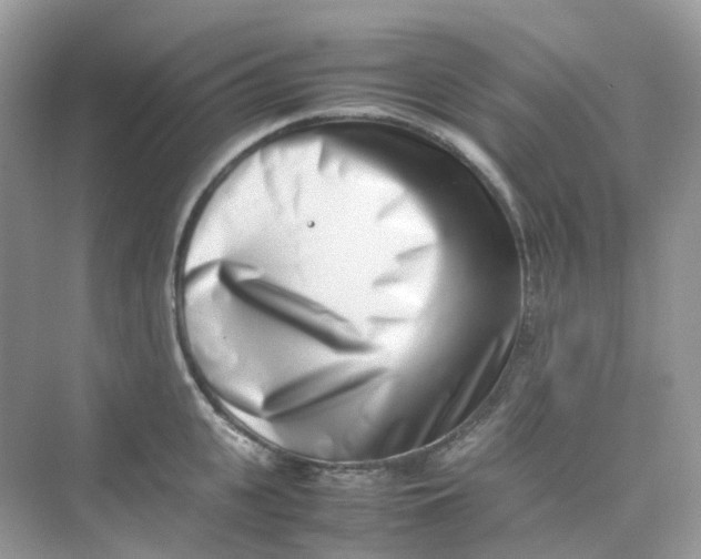 X0000075330951200609292005