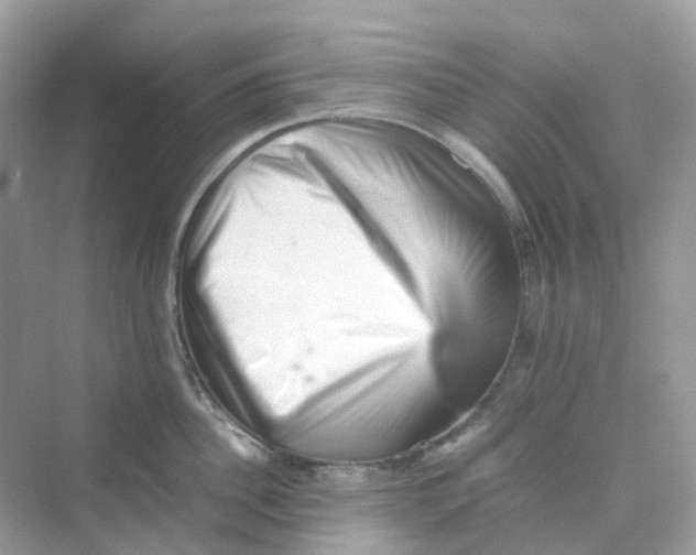 X0000075330956200609292005