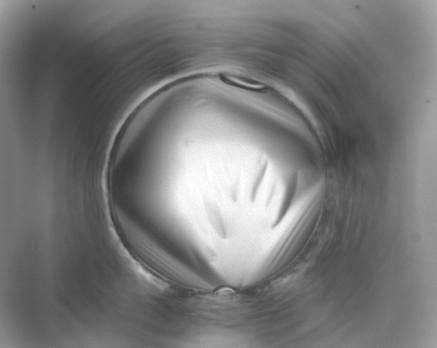 X0000075330959200609292005