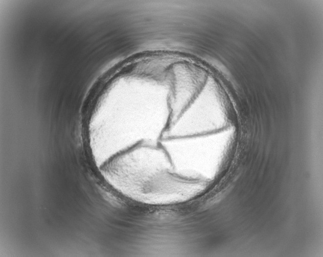 X0000075330974200609292004