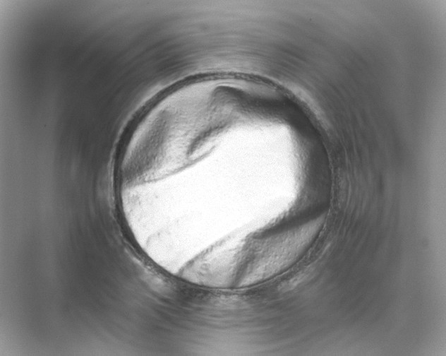 X0000075330982200609292004