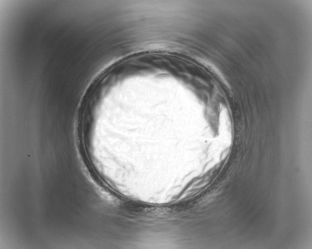 X0000075330991200609292004