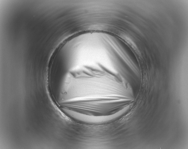 X0000075330992200609292004