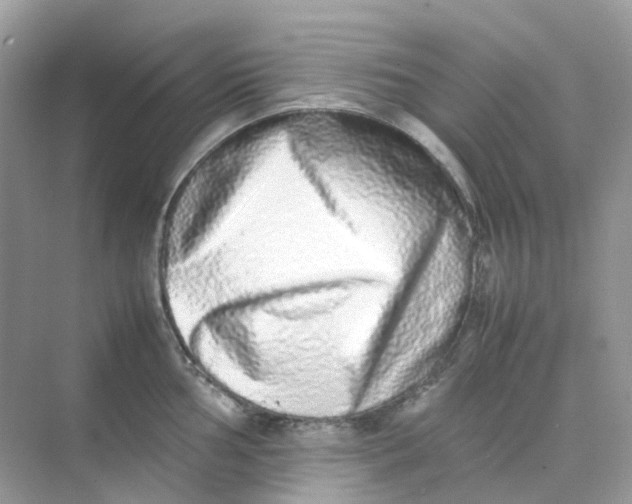 X0000075331002200609292003