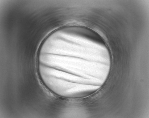 X0000075331008200609292003