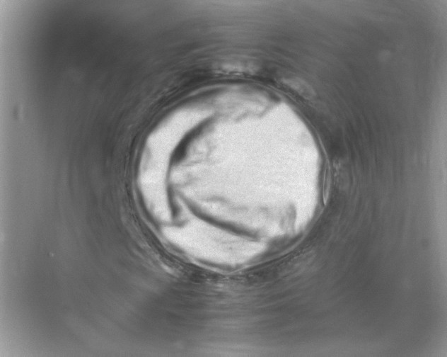 X0000075331009200609292003