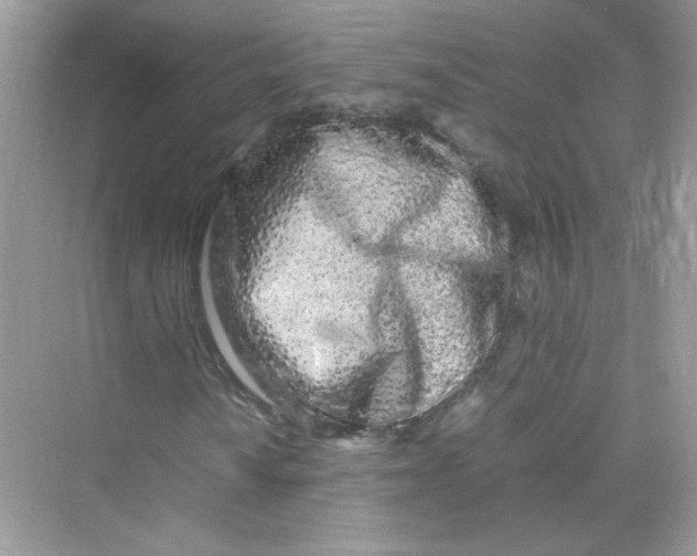 X0000075331010200609292003