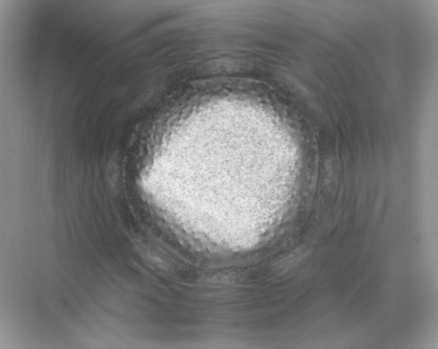 X0000075331011200609292003