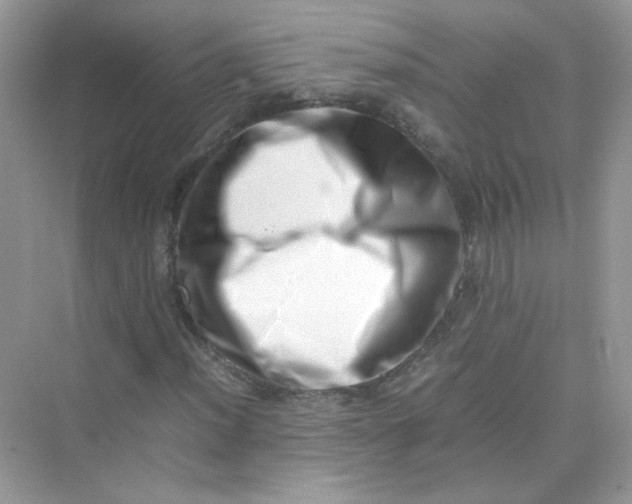 X0000075331012200609292003