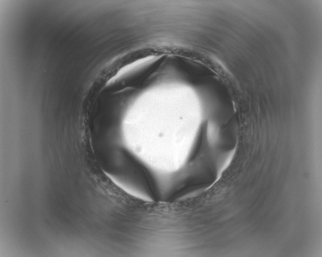 X0000075331016200609292003