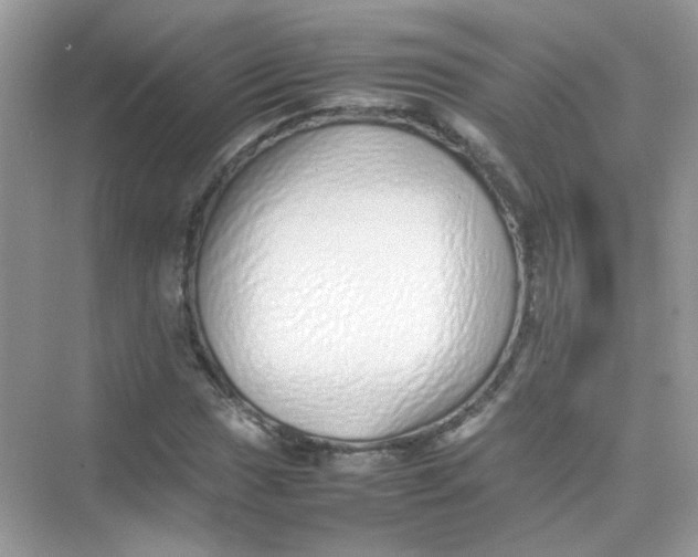 X0000075331017200609292003