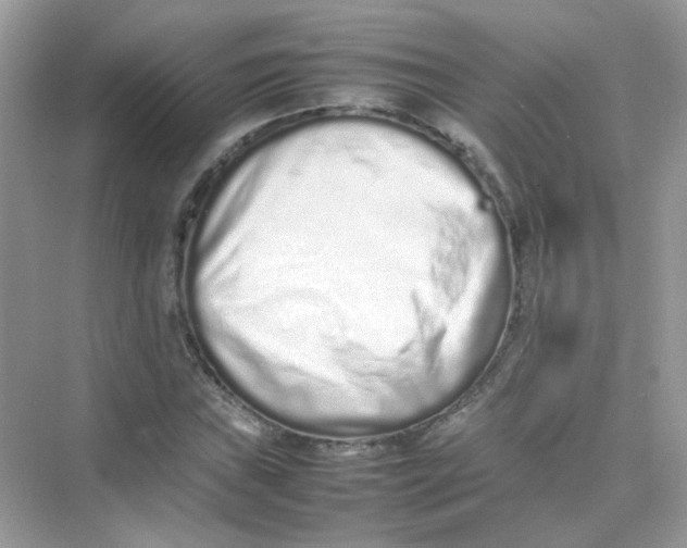 X0000075331019200609292003