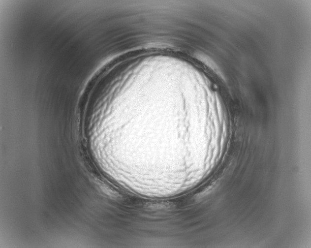 X0000075331021200609292003