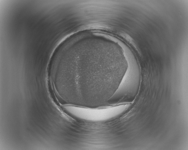X0000075331024200609292003