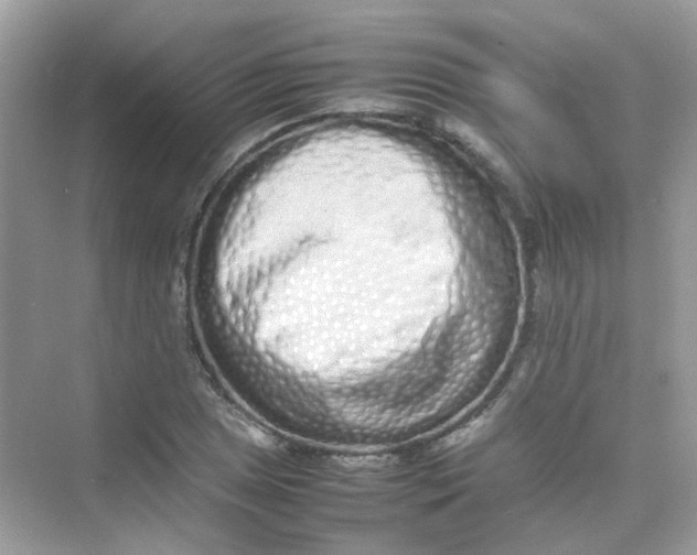 X0000075331025200609292003