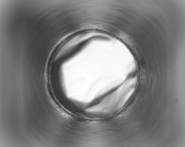X0000075331028200609292003