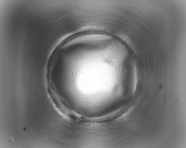 X0000075331030200609292003