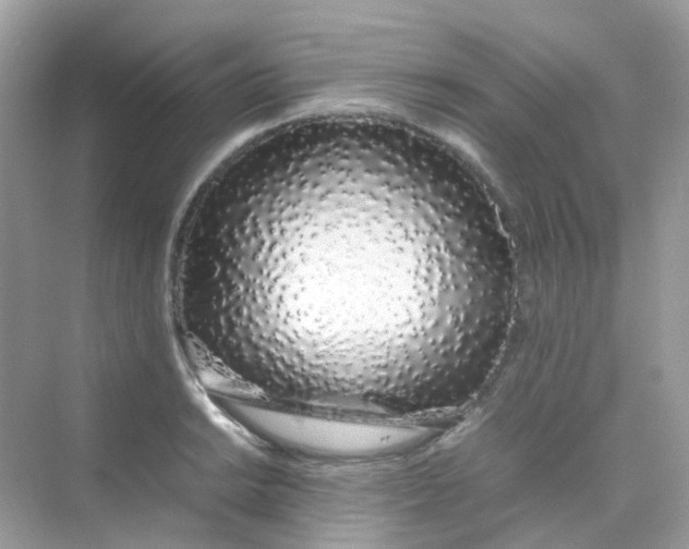 X0000075331038200609292003
