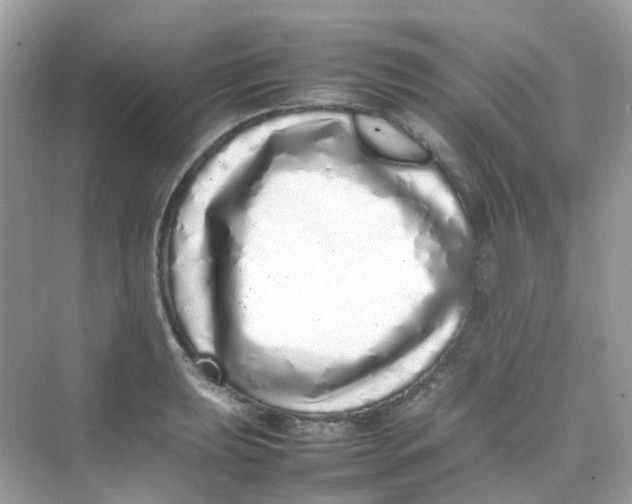 X0000075331039200609292003