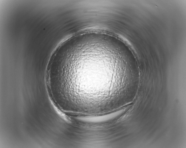 X0000075331042200609292003
