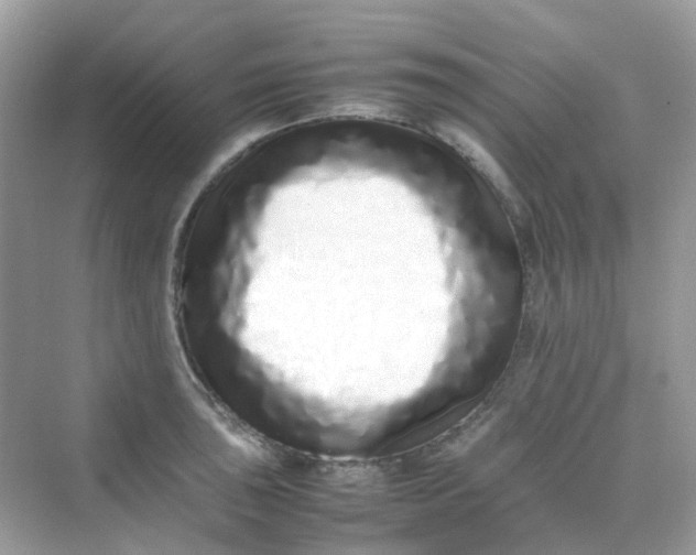 X0000075331043200609292003