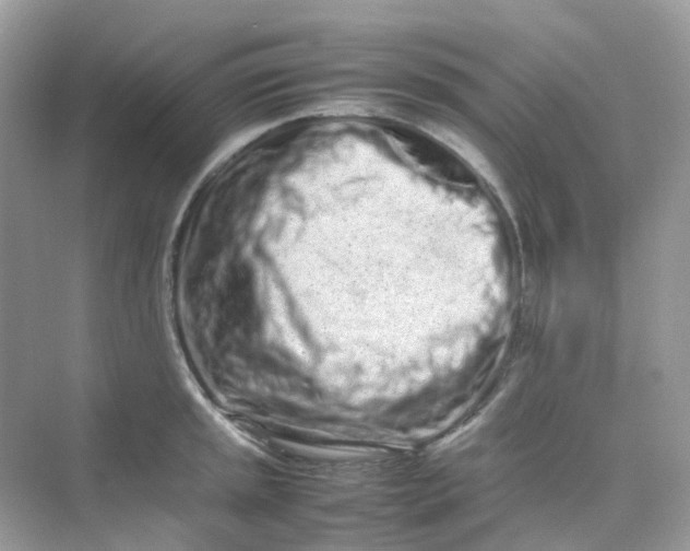 X0000075331045200609292003