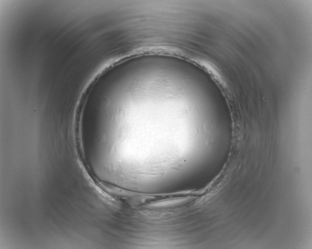 X0000075331046200609292003