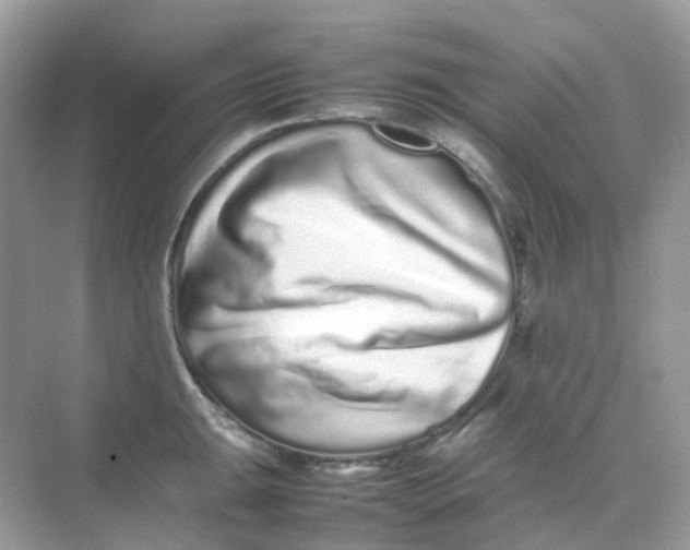 X0000075331047200609292003