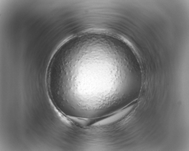 X0000075331050200609292003