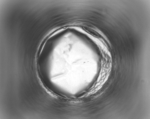 X0000075331053200609292003