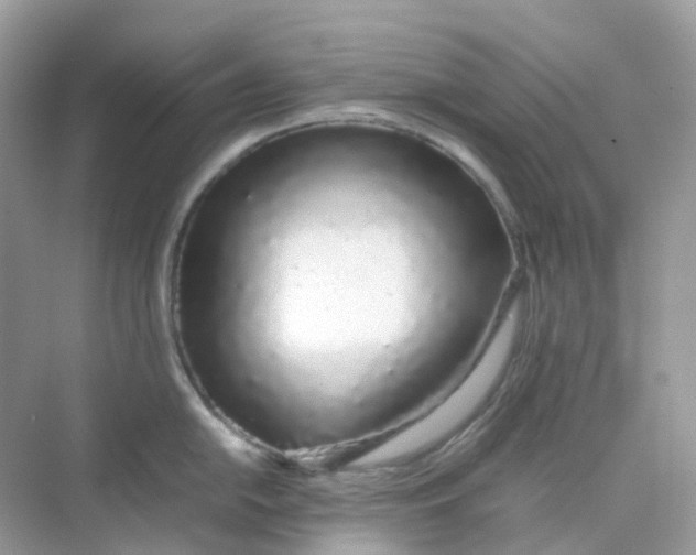 X0000075331054200609292003