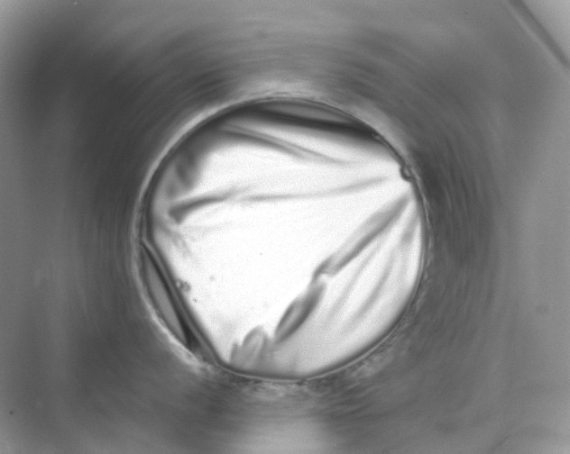 X0000075331056200609292003