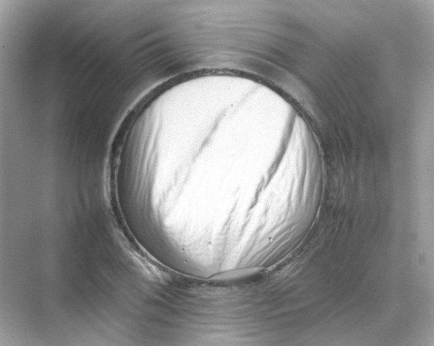 X0000075331076200609292002
