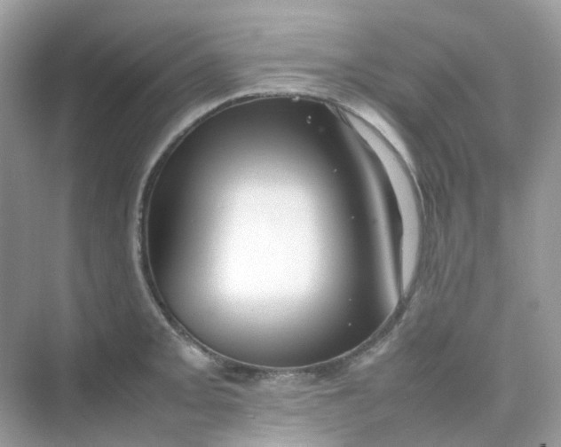 X0000075331093200609292002